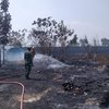 Lahan Dekat SMKN Mojoanyar Mojokerto Terbakar, Ratusan Pelajar Panik Keluar Kelas