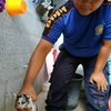 Kisah Petugas Damkar Selamatkan Anak Kucing Terjebak dalam Pipa