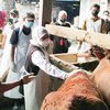 Terjangkit Wabah PMK, Gubernur Jatim Intruksikan Pasar Sapi Tutup Sementara