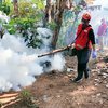 Peningkatan Kasus DBD di Jember Bagian Barat Jadi Perhatian