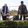Pemkab Madiun Fokus Pertahankan Produksi Padi Tahun Ini