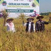 Harga Gabah Menguat, Pertanian Jatim di Catat Tren Positif