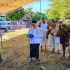 Hari Raya Iduladha, Korpri Pemkab Situbondo Sembelih Hewan Kurban 16 Ekor Sapi