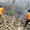 Diduga Dibakar Orang, Hutan Jati Seluas 4 Hektare di Jatirejo Mojokerto Terbakar