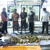 Polres Blitar Kota Ungkap Produksi Puluhan Ayam Tiren