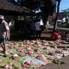 Patongan Tompo’an, Tradisi Menabung Beli Sapi untuk Hidangan Lebaran