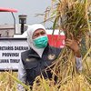 Panen Padi KIP, Khofifah Ingin Semakin Banyak Petani Tanam Bibit Unggul