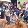 Wabah PMK, Peternak Sapi Takut Harga Turun Menjelang Iduladha