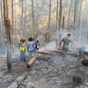 Hutan Di Petungsewu Malang Terbakar