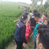 Polisi Mojokerto Selidiki Pria Lansia Ditemukan Tak Bernyawa di Sawah