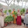 Pj Wali Kota Mojokerto Apresiasi Urban Farming, Solusi Ketahanan Pangan dan Tekan Inflasi