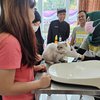 Peringati Hari Rabies Sedunia, Ratusan Hewan Peliharaan di Banyuwangi Mendapat Vaksin Gratis