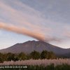 Gunung Raung Erupsi Lima Kali, Letusan Hingga Ketinggian 1.000 Meter