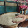 Warga Keluhkan Beras Bantuan Pemerintah Berwarna Kuning dan Berbau <em>Apek</em>
 