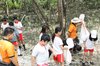 Hari Peduli Sampah, Pelajar Bersihkan Plastik di Ekowisata Mangrove Wonorejo