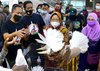 Balai Kota Surabaya Semakin Indah dengan Burung Merpati Berbagai Jenis