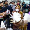 Balai Kota Surabaya Semakin Indah dengan Burung Merpati Berbagai Jenis