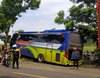 Bus Tabrak Pemotor di Jalur Pantura Probolinggo, Satu Pengendara Tewas