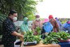 Panen Sayur Hidroponik di Kampung Juara Proklim KLHK