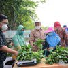 Panen Sayur Hidroponik di Kampung Juara Proklim KLHK