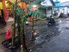 Jalan Rusak di Probolinggo Ditanami Pohon Pisang