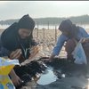 Asyiknya Berwisata sambil Berburu Kerang di Pantai Duta Probolinggo