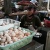 Telur Ayam Rp35 Ribu, Pedagang dan Konsumen di Probolinggo Mengeluh