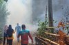 Kasus DBD Meningkat, Dinkes Kabupaten Probolinggo Lakukan Fogging