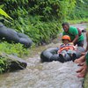 Mahasiswa Unesa dan Karang Taruna Sajen Rintis Wisata <em>River</em> <em>Tubing</em> Kali Kromong
 