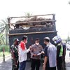 Sapi di Situbondo Positif PMK, Satgas Awasi Perbatasan Darat dan Laut