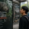 Kenapa Orang Baru Peduli Satwa Saat Hampir Punah?