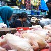 Pakar Pangan Ungkap Alasan Ayam Kerap Jadi Penyebab Keracunan Massal di MBG