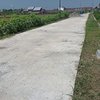 Belum Genap Setengah Tahun, Rabat Beton di Desa Tebel Jombang Mulai Mengelupas? 