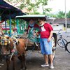 Di Balik Cerita Transportasi Dokar yang Mulai Ditinggalkan