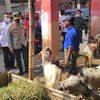 PPKM Darurat, Penjualan Hewan Kurban Merosot Sampai 50 Persen