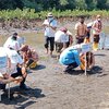 Pesisir Pantai di Tiga Desa Probolinggo Ditanami Puluhan Ribu Mangrove