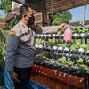 Di Balik TNI-Polri saat Pandemi Covid-19 Bertanam Sayur, Dibagikan Kepada Warga yang Isoman