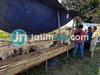 Efek Pandemi, Penjualan Hewan Kurban di Probolinggo Sepi Pembeli