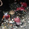 Kerja Bakti di Pegirian dan Kampung Seng Angkut Sampah 22 Dump Truk