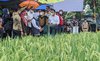 Giri Kenalkan Padi Varietas KIP Kepada Masyarakat Ponorogo