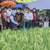 Giri Kenalkan Padi Varietas KIP Kepada Masyarakat Ponorogo