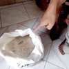 Puntung Rokok di Dalam Beras Bansos, DPRD Mojokerto Panggil Bulog