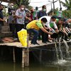 Maksimalkan Bozem, 7000 Benih Ikan Nila Ditebar