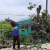 Dua Pekan Rumah Terendam Banjir, Kini Tertimpa Pohon Tumbang