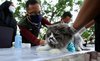 Pertahankan Zero Rabies, Dinas Pertanian Banyuwangi Vaksin 2.300 Hewan