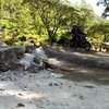 Jalan Nasional Penghubung Ponorogo-Pacitan Ambles 0,5 Meter