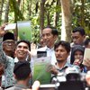 Jokowi Harap Produksi Sawit Tidak Bertambah