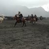 Ojek Kuda Gunung Bromo Ikuti Lomba Pacuan