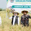Produksi Padi Jatim Capai 7,71 Juta Ton GKG, Tertinggi Nasional hingga Juli 2026