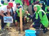 Gubernur Jatim Ajak Masyarakat Tanam Cemara Udang di Sepanjang Pantai